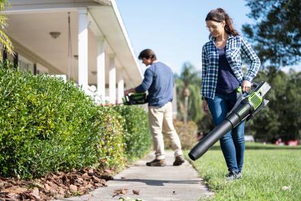 Воздуходувка аккумуляторная Greenworks 60V, б/щ (АКБ 4АЧ и ЗУ)