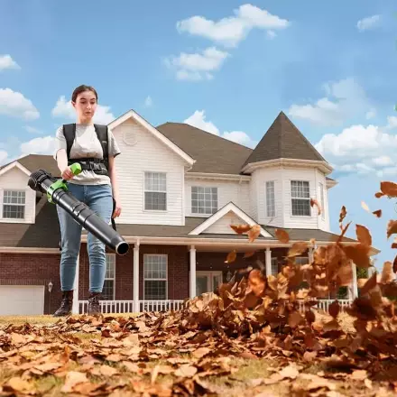 Воздуходувка ранцевая Greenworks GD40BPG2 (без АКБ и ЗУ)