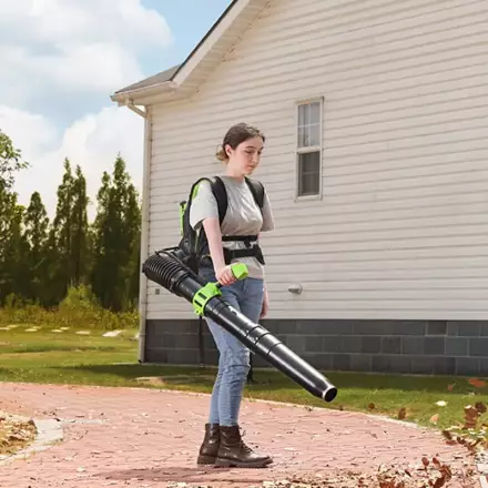 Воздуходувка ранцевая Greenworks GD40BPG2 (без АКБ и ЗУ)