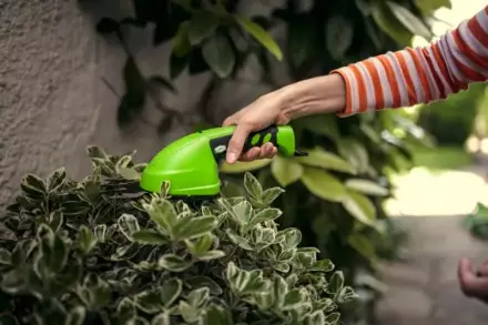 Ножницы садовые аккумуляторные Greenworks G7,2GS с телескопической ручкой