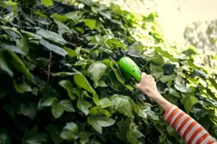 Ножницы садовые аккумуляторные Greenworks G7,2GS с телескопической ручкой