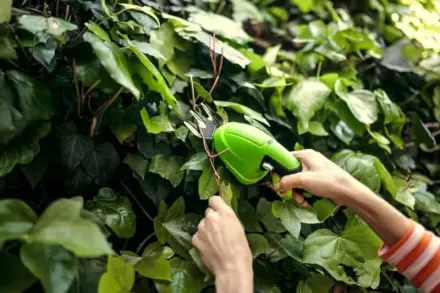 Кусторез аккумуляторный Greenworks G7,2HS (АКБ; з/у)